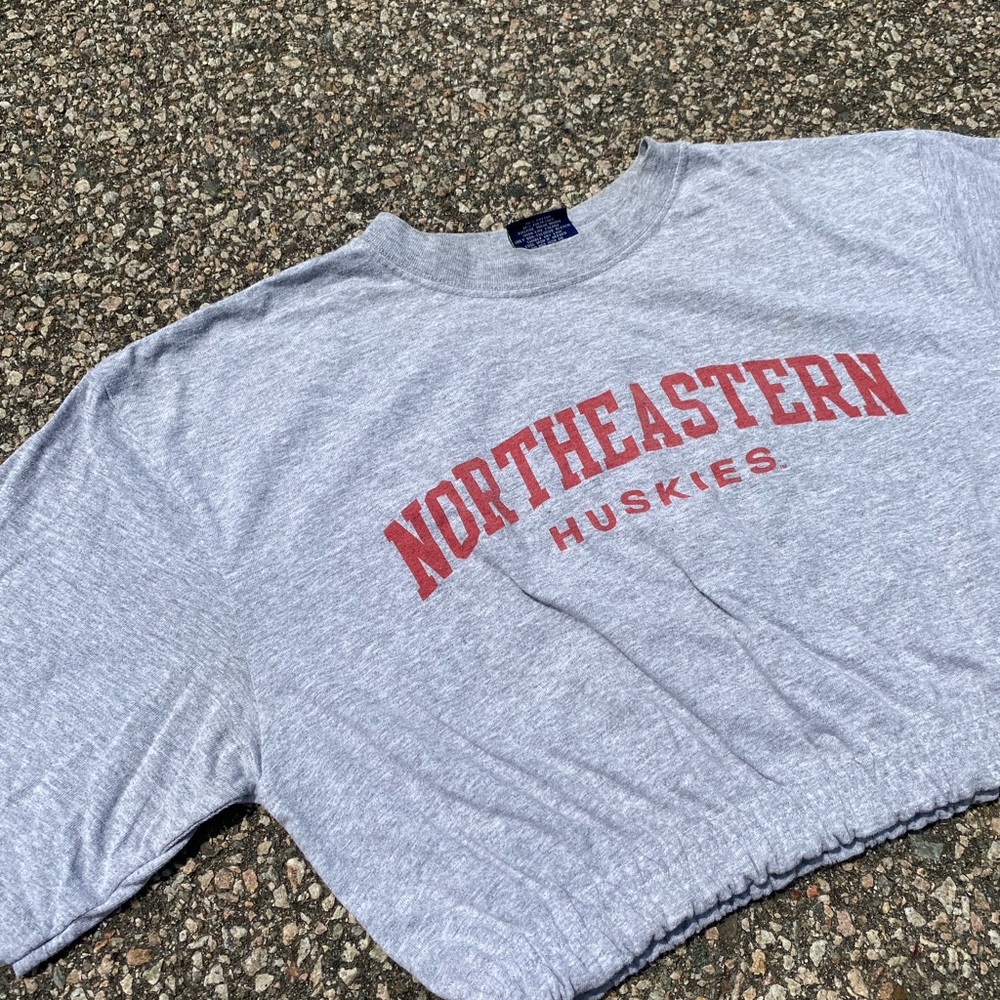 Northeastern Crop Top - image 4